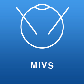 MIVS-ServicesPage